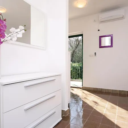 Sparadici Lxii Grebaštica